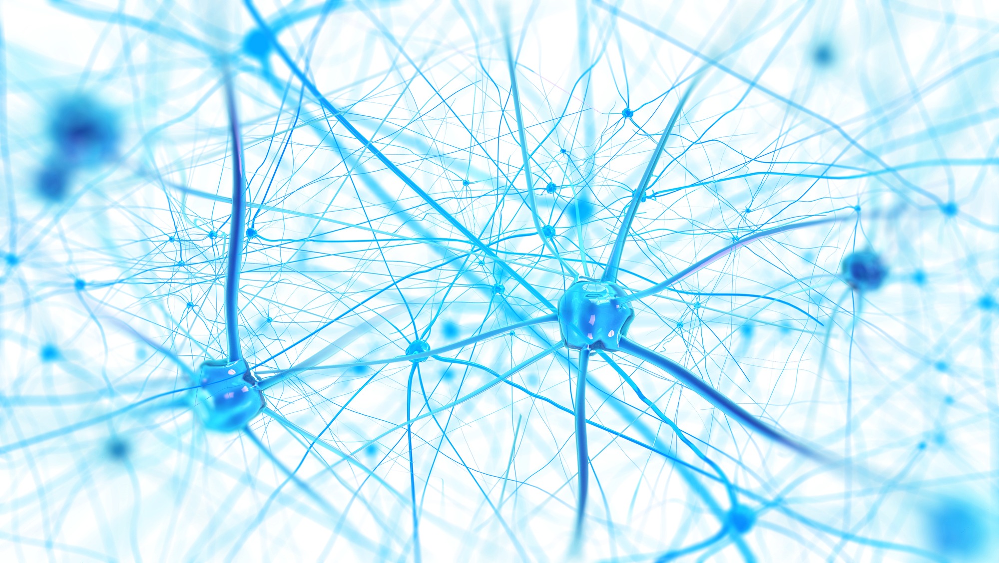 Neurons in the brain on white background