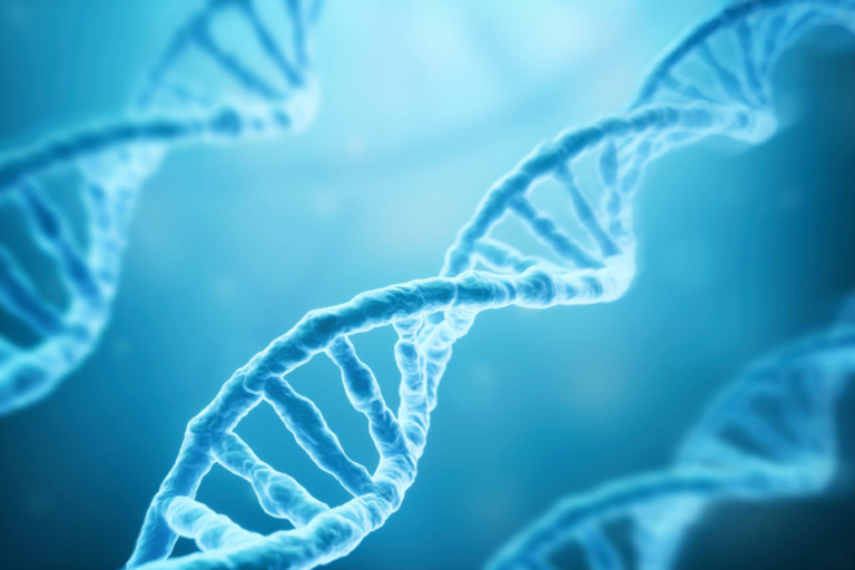 DNA strands